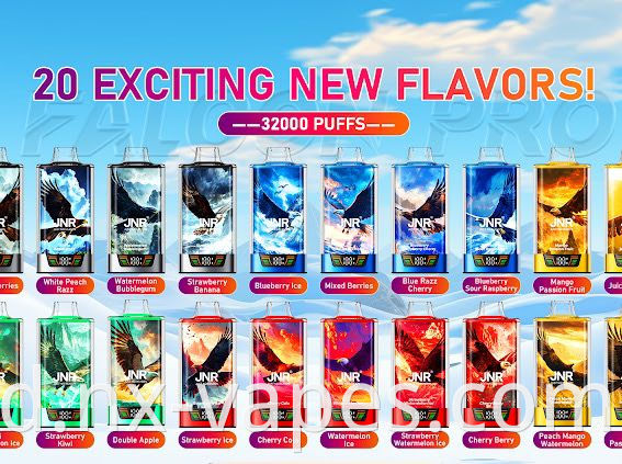 JNR Falcon Pro 28000 (2)